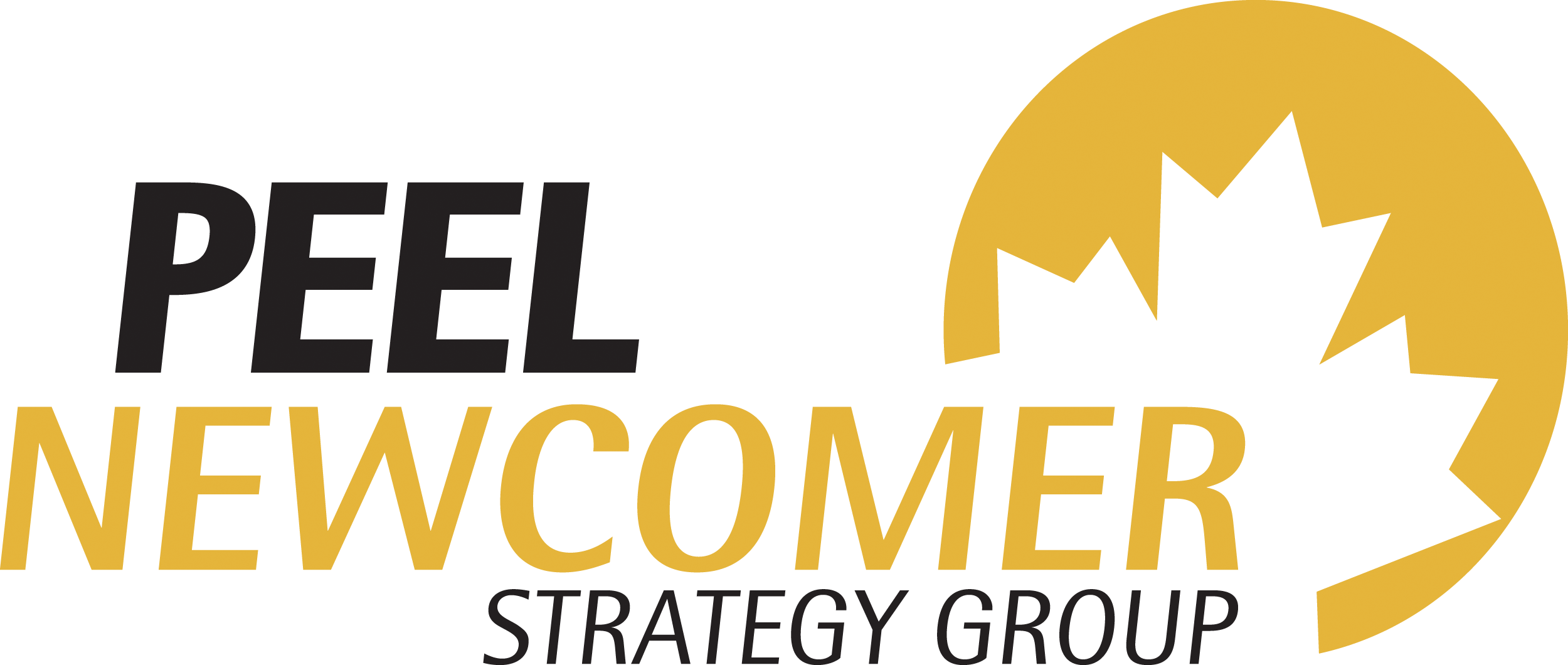 Peel Newcomer Strategy Group logo